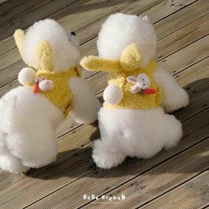 [yBeBe BreathzBunny harnessiYellowj pi hbOObY n[lX pn[lX hbOn[lX n[lX^ n[lX ؍ ^ ^