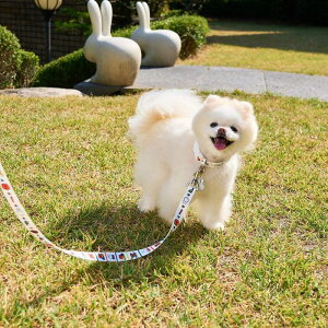 [ynouttizColorful Miffy Hands leashi2.8mj pi hbOObY [h Upi n[lX  }i[|[` ~btB[ ؍ y