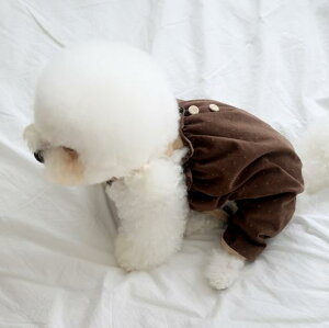 \̔ynear by uszcorduroy dot romper (brown)  hbOEFA ̕ ^ ^ pi hbOObY ؍ H H