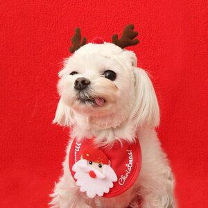 [yITS DOGzChristmas Dog BeefiSantaj pi hbOObY hbOEFA  ̕ ^ ^ P[v ؍ NX}X