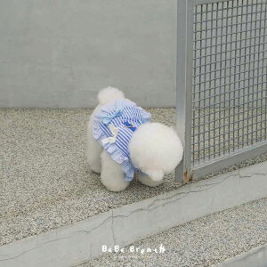\̔yBeBe BreathzBella harnessiBluej ؍ uh 킢  v[g ^ n[lX UObY NEW t  H ~ v 