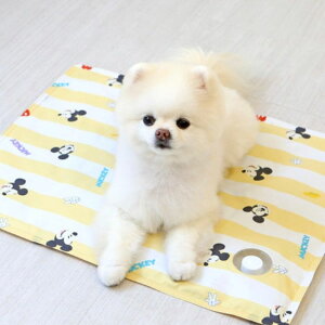 \̔yITS DOGzDisney Fresh Cool Gel MatiMickey Yellowj ITS DOG Disney Mickey Yellow ؍ pi hbOObY }bg }bg ybg}bg p}bg
