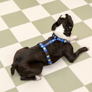 [yandblank×KnottedzSmile haenessiBluej pi hbOObY ؍ n[lX  v  ̃n[lX pn[lX hbOn[lX