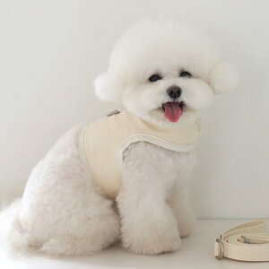 \̔ynear by uszall day walk harness (butter) pi hbOObY n[lX ̃n[lX hbOn[lX n[lX^ n[lX pn[lX ^ ^