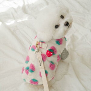 [yPets&Mezzzn[Vtt[XwXgn[lX pi hbOObY hbOEFA  ̕ ^ ^ n[lX ~ ~