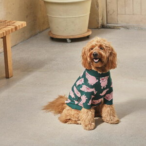 [yandblankzPiggly Knit ؍ uh 킢  v[g ^ NEW ^ t H ~ o ^ 