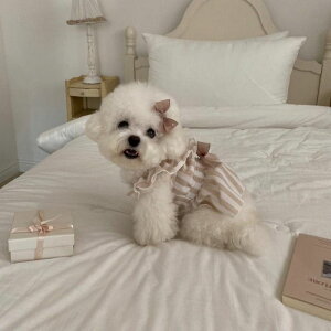 \̔yHi YeboozVenice Collection opsiBeigej ؍ pi hbOObY s[X hbOEFA  ̕ ^ ^ t 