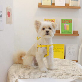 ※予約販売【maison de miu】 Running Mate Harness（Yellow） 韓国 ブランド かわいい おしゃれ プレゼント 小型犬 ハーネス うちの子グッズ うちの子 タオル 散歩グッズ NEW 犬