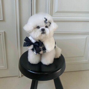 [yHi YeboozEmily Tweed CapeiBlackj  hbOEFA P[v ^ ^ pi hbOObY ؍ ~ ~