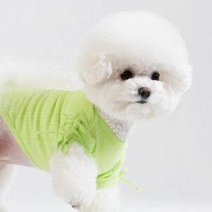 [ySniffzGATHER SLEEVE RIB TshirtilIO[j ؍ uh 킢  v[g ^ NEW t  H