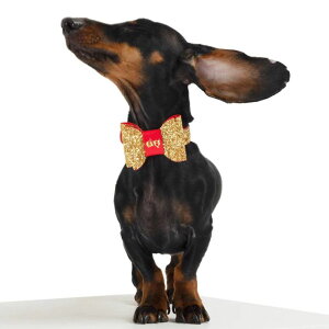 [yMOSHIQAzGlam Dog Collar AJ pi hbOObY  hbOJ[  p {v100% nCGh CtX^Cuh