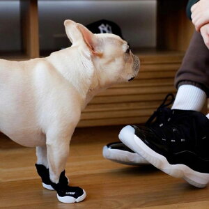 [yRIFRUFzSNEAKERS CAESAR 1iBlackj URBAN DOG TOKYO / A[ohbOg[L[ C uh ̌C U  ^ ^ ^ AEghA  C EȂ  pC  ~ ubN