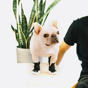 [yRIFRUFzSNEAKERS CAESAR 1iBlackj URBAN DOG TOKYO / A[ohbOg[L[ C uh ̌C U  ^ ^ ^ AEghA  C EȂ  pC  ~ ubN