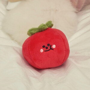 [ymeaninglesszTomato Toy ؍ pi hbOObY  ̂  XgX m mߋ Rbg