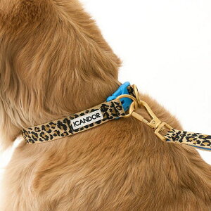 \̔yiCANDORzGentle Collar DualiLEOPARDjL  p ֒^ ֑^ ^ hbOJ[ p ybgp  Upi UObY  킢  U v 