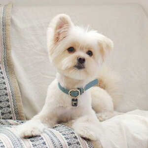 \̔ymaison de miuz Heart Pendant Collar (Indian Blue) ؍ uh 킢  v[g ^  ^I UObY NEW