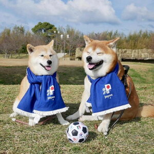 [yFIFA WORLD CUP QATAR 2022_zFIFA muffler towel TbJ[ {\ { Wp JAPAN  NR[f }t[ ^I h TCWp  JAPAN ItBVCZX CZX y