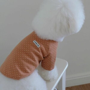 \̔yFREDDIE TALEzDotter raglan tee(brown)  hbOEFA ̕ ^ ^ pi hbOObY ؍ TVc X[uX