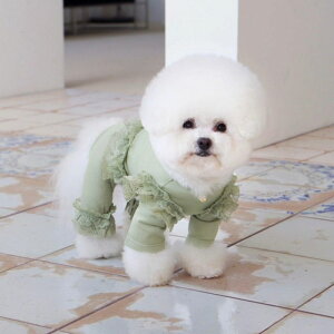 [yGET BACKzGet Heat All in oneiOlivej ؍ pi hbOObY hbOEFA  ̕ ^ ^ t t