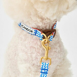 \̔yiCANDORzGentle Collar DualiSURFRIDERjS/M ؍ pi hbOObY  hbOJ[  p Upi UObY ̎U [h
