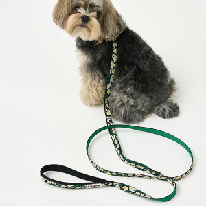 \̔yiCANDORzGentle Leash BoltiBIG FISH BLACKj1.6m-15mm ؍ pi hbOObY ̃[h p[h j [ [h U[h Upi