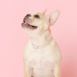 \̔ymaison de miuz Heart Pearl Collar(White) ؍ uh 킢  v[g ^  ^I UObY NEW