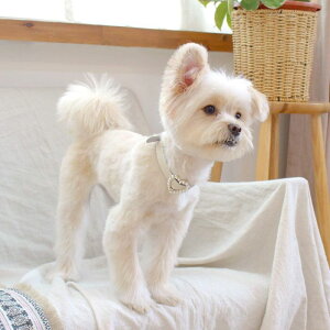\̔ymaison de miuz Heart Pearl Collar(White) ؍ uh 킢  v[g ^  ^I UObY NEW