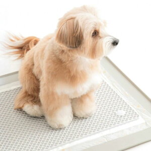 [yBITE MEzZero Guard Silicone Mati2colorsj ؍ pi hbOObY gC}bg gC }bg ͂ݏoh~ ̃gC ybgpi ybgObY