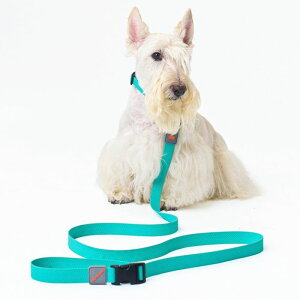 [ymunikundzWater-Block LeashiGreenj [h p[h U[h pi hbOObY h v y EFrO VR