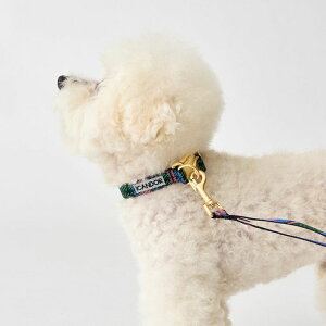 [yiCANDORzGentle Collar DualiURBAN CHECKSjS/M ؍ pi hbOObY  n[lX [h Upi ̎ hbOJ[ 