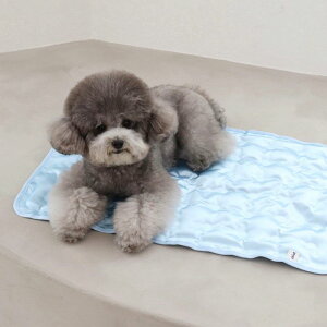 \̔yChiotzCool Gel mat ؍ pi hbOObY }bg }bg ybgp}bg ybg}bg p}bg  ĕ y