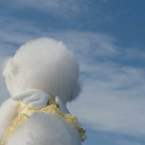 [yBeBe BreathzBev HarnessiYellowj ؍ pi hbOObY n[lX hbOn[lX n[lX pn[lX ^ ^ `[