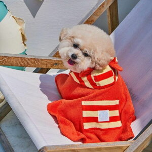 \̔ybarbe a papazTerry Bear RobeiOrange/Yellowj pi hbOObY hbOEFA  ̕ ^ ^ ؍ P[v s[X