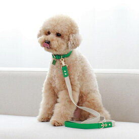 ※予約販売【maison de miu】 Running Mate Leather & Webbing Lead（Green） 韓国 ブランド かわいい おしゃれ プレゼント 小型犬 リード うちの子グッズ うちの子 タオル 散歩グッズ NEW 犬