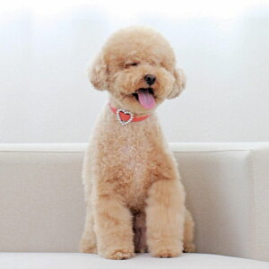 \̔ymaison de miuz Heart Pearl CollariCoralj ؍ uh 킢  v[g ^  ^I UObY NEW