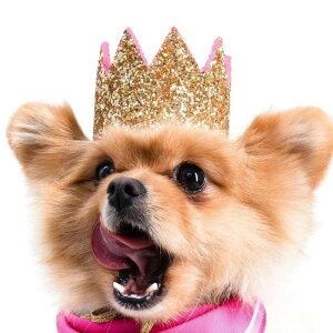 [yMOSHIQAzParis Collection Meta Dog Crown AJ pi hbOObY  ̎ hbOJ[  p ANZT[ l