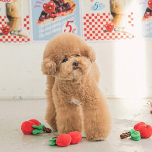 [yBITE MEzCHERRY TUG TOY ؍ pi hbOObY  XgX m mߋ ̂ ̃I`  ^