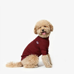 \̔yTUSTUSzSoft neckiBurgundyj  hbOEFA ̕ ^ ^ ؍ pi hbOObY t ĕ