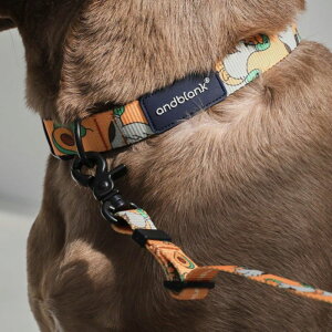 \̔yandblankzSunday Duck Neck CollariJoule Mustardj ؍ uh 킢  v[g ^  [h UObY NEW ^ v ^ 