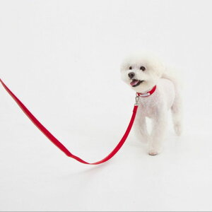 \̔yforeverybarizClassic Pet LeashiHot Redj ؍ pi hbOObY [h U[h ̃[h p[h j [ [h