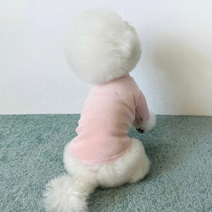 \̔yCRRzLazy Half Polar TeeiBaby Pinkj ؍ pi hbOObY TVc X[uX hbOEFA  ̕ ^ ^