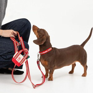 [yandblankzAndblank x Camel ABC Stripe Collar pi hbOObY  ̎ hbOJ[  p ؍ Upi y