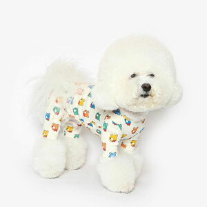 \̔yTUSTUSzCOLOR BEAR ALL IN ONE  hbOEFA ^ ̕ p ybg ^ ^ ؍ pi hbOObY