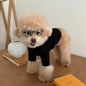 \̔yFREDDIE TALEzCozy cotton T-shirtiBlackj  hbOEFA ̕ ^ ^ pi hbOObY TVc X[uX ؍