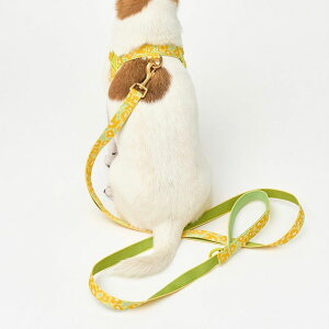 [yiCANDORzGentle LeashiBIG FISH YELLOWj ؍ pi hbOObY ̃[h p[h U[h j [ ̃n[lX hbOn[lX