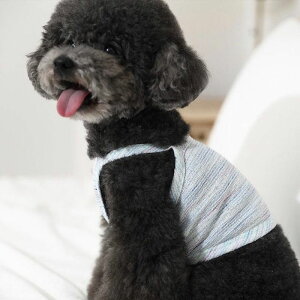 [yodd petzACXN[^Ngbviu[j ؍ uh 킢  v[g ^ NEW t  o