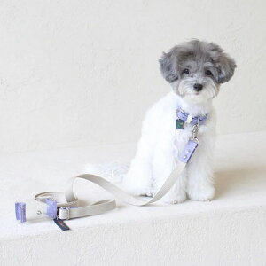 \̔ymaison de miuzPet Color 4Way Lead (Ivory / Violet) ؍ uh 킢  v[g ^ [h ^I NEW t  ֗