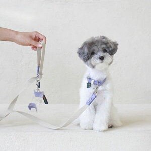 \̔ymaison de miuzPet Color 4Way Lead (Ivory / Violet) ؍ uh 킢  v[g ^ [h ^I NEW t  ֗