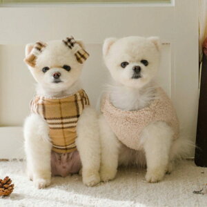 [yPets&Mez`FbNE[n[VtwXgn[lX pi hbOObY hbOEFA  ̕ ^ ^ n[lX ~ ~ h