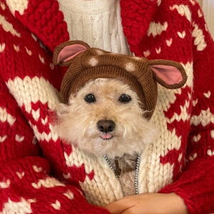 バンビ 犬の人気商品・通販・価格比較 - 価格.com